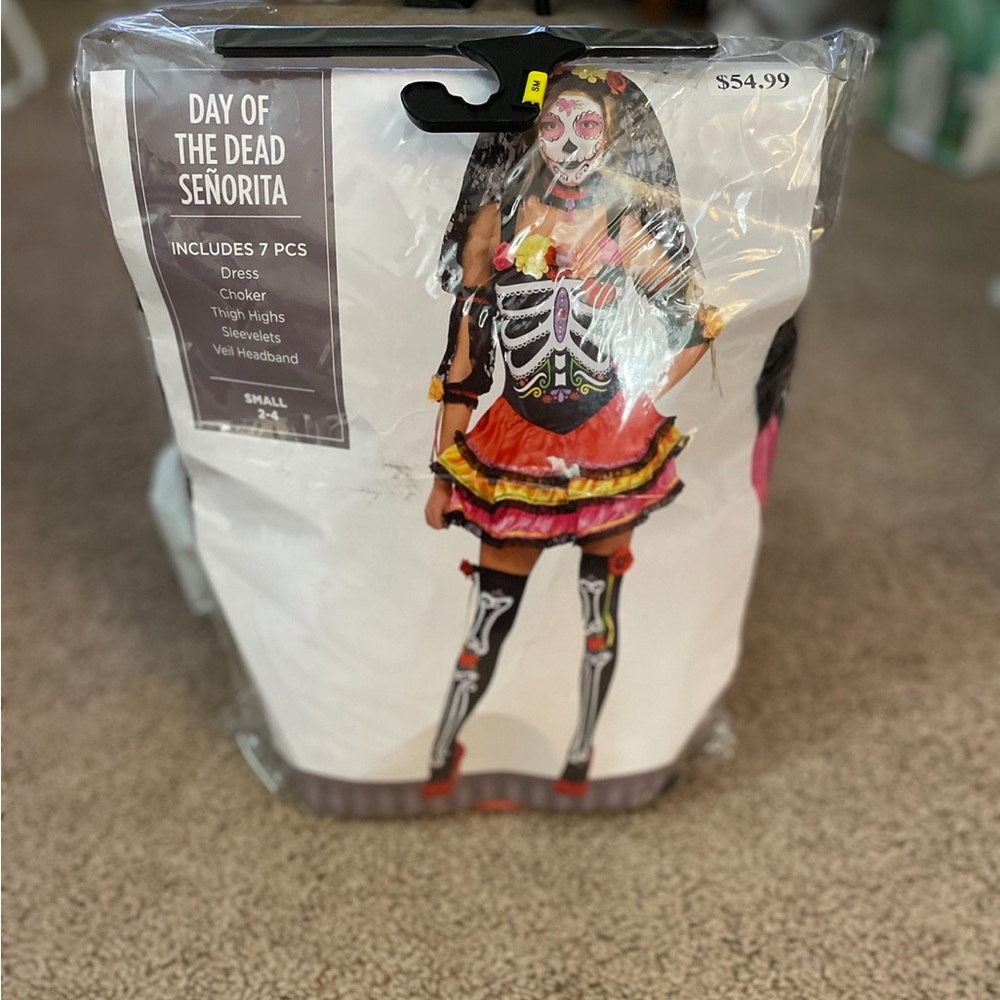 Day of The Dead Costume